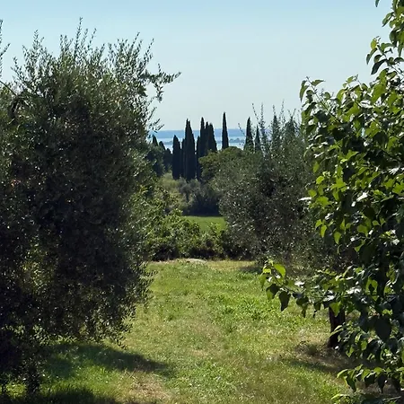Padenghe Olive House - Ground-floor View Amid Olives Tatil Evi