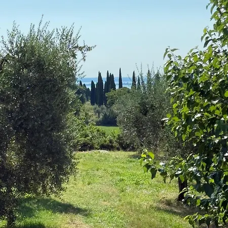 Padenghe Olive House - Ground-floor View Amid Olives * Padenghe sul Garda